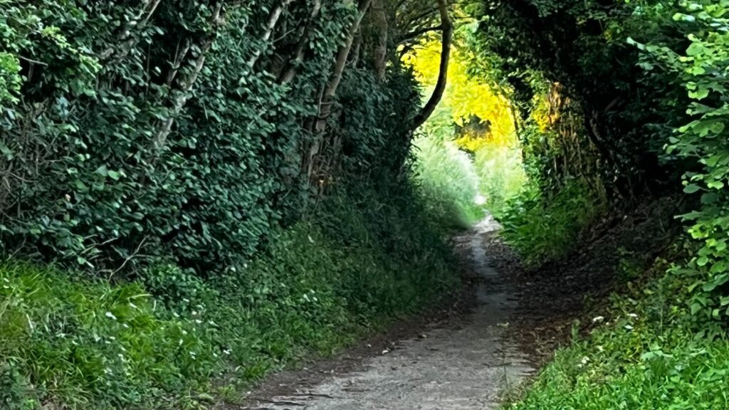 Footpath1